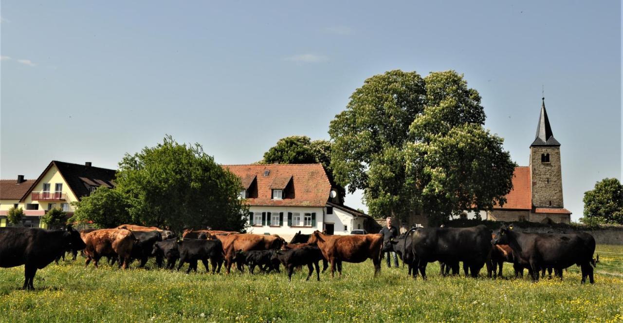 Schaefer'S Ferienhof Michaelsberg Gundelsheim  Luaran gambar